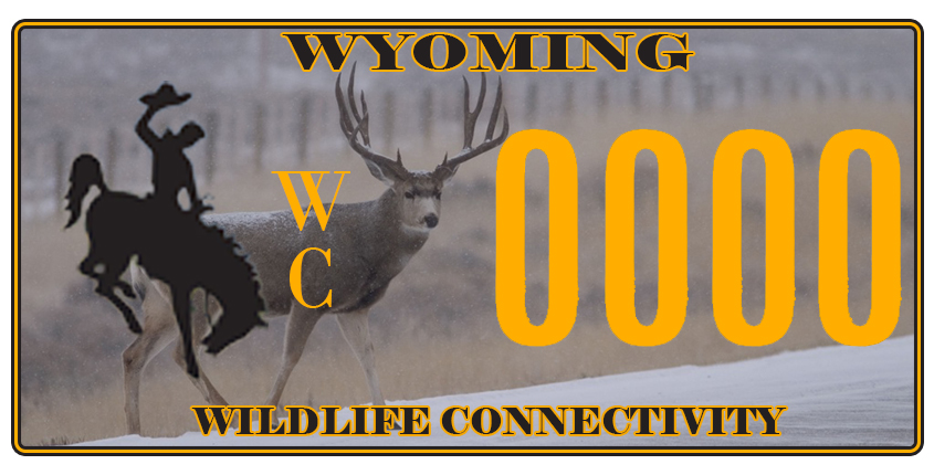 Wildlife Conservation Connectivity Specialty License Plate Bill To Be Introduced Sweetwaternow