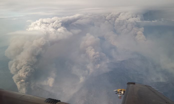UW Wildfire Smoke
