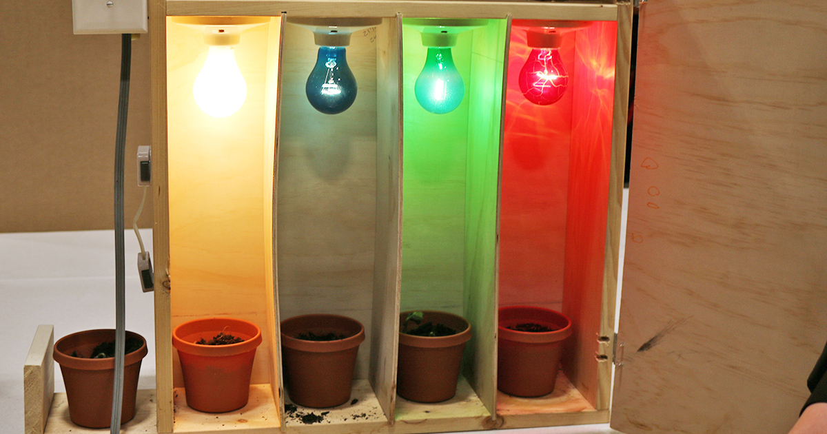 lights