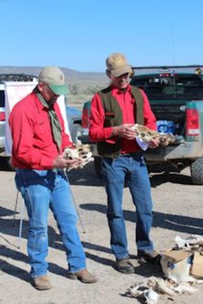 Deer Mortality Surveys May 14 and May 21