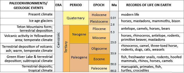 geologic time scale cenozoic