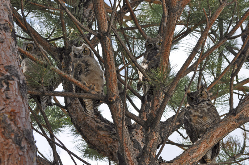 Photos courtesy of the Rock Springs Fire Department
