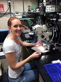 UW Researchers Help Unlock Mystery of Skin’s Sensory Abilities